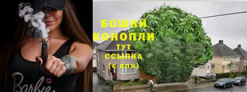 цена наркотик  ОМГ ОМГ рабочий сайт  Шишки марихуана Ganja  Сыктывкар 